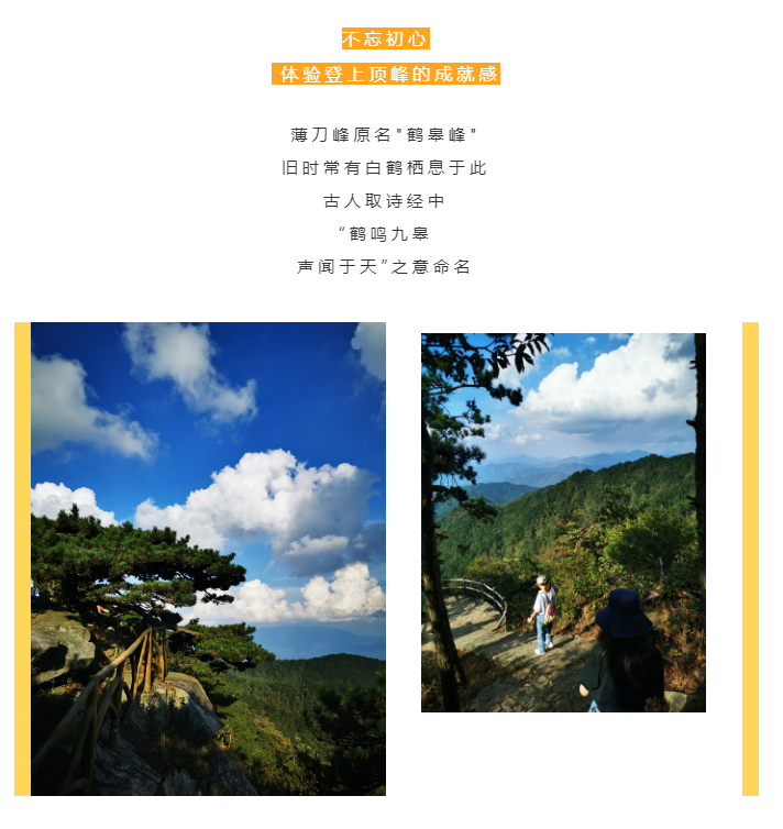 秋天了，來一場成年人的秋游吧(圖2)
