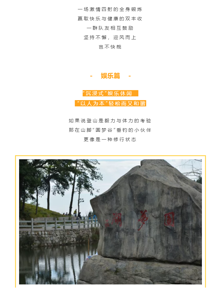 秋天了，來一場成年人的秋游吧(圖4)
