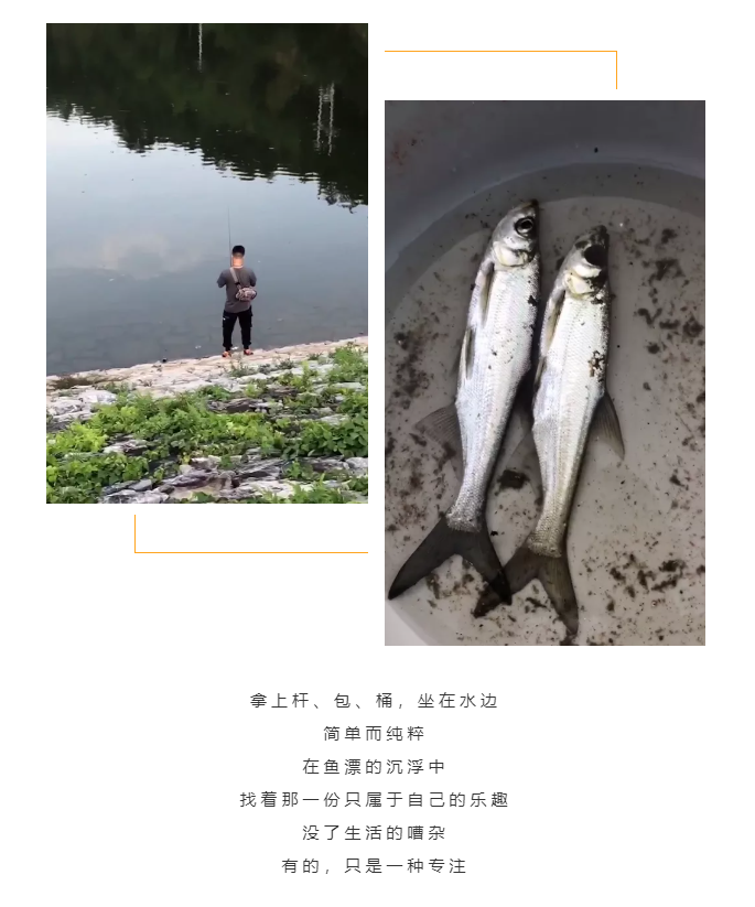 秋天了，來一場成年人的秋游吧(圖5)