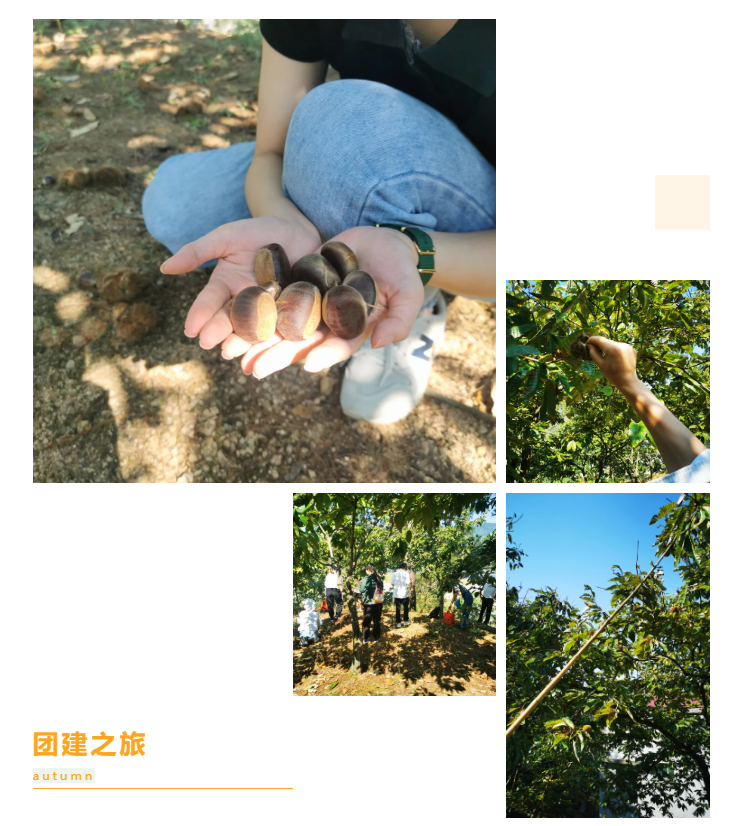 秋天了，來一場成年人的秋游吧(圖6)